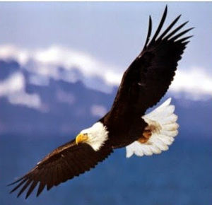 Meet your Posher, Yun jong